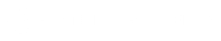 Platinum Payments